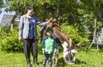 Die Esel tragen den Picknickkorb, freuen sich über Streicheleinheiten und erobern sich im Nu einen festen Platz im Herzen der Kids.Foto: "Ferienwelt Winterberg"