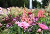 Sommerflor © Landesgartenschau Bad Lippspringe 2017 GmbH