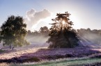 Lueneburger-Heide-Licht-Drama-2000px