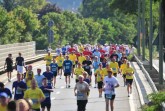 RunAndRollDay2008_Lauf