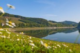 Der Hennesee bei Meschede lädt zum spazieren gehen, radfahren und Inline-Skaten ein.Copyright: © Foto Oliver Franke/Tourismus NRW e.V.