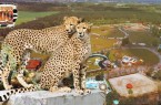 banner-safaripark