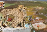 banner-safaripark