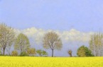 Ein Blick in die Ausstellung mit »Landschaften und Stillleben«. Fotos: Stadt Rietberg