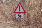 Die Amphibienwanderung in Minden: Autofahrer müssen aufpassen. Foto: © Stadt Minden