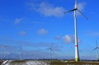 Windparkanlage im Kreis PB: Hier stehen aktuell ca. 450 Windenergieanlagen, die von einer Vielzahl 
von verschiedenen Gesellschaften betrieben werden. 
Foto: Julia Negri, SICP