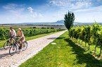 Unterwegs zwischen Weinreben in Südmähren. Foto: CzechTourism/Petr Slavík