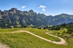 Wanderlust und Hochgefühle im Tannheimer Tal