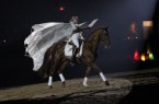 03_2014 GA Pegasus