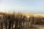Juist_Winter_Strand_Osten
