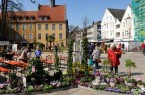 Der Frühling zieht in der Gütersloher Innenstadt. Foto: Klaus Ottenberg