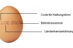 Die aufgestempelte Nummer auf dem Ei schafft bei Bielefeldern mehr Klarheit beim Einkauf über Erzeugerland und Haltungsform. (Quelle: ZDG Zentralverband der Deutschen Geflügelwirtschaft).