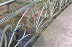 (Bildnachweis: Städtische Betriebe Minden).