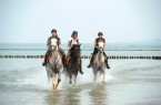 Reiten und Pferdesport
