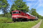 Die historische E-Lok E22 der Extertalbahn rollt seit 1927 durch Nordlippe. Dank des Vereins Landeseisenbahn Lippe, der sich seit 2005 sowohl für die Lokomotive wie auch Denkmalschutz stehende Fahrleitung verantwortlich ist.Foto: Michael Rehfeld