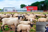 Meller Büromöbelhersteller im Rennen für wichtigsten Nachhaltigkeitspreis Europas.Foto:Assmann