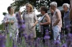 Am Samstag lädt Stadtführerin Barbara Weidler interessierte Schnuppernasen zum Rundgang in den Botanischen Garten ein. (Foto: Dunja Delker)