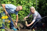 v.l.: Hans-Bernd Hensen und Dorothee Kohlen von der Umweltabteilung bei der Probennahme im Garten.