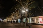 Lichterbaeume in Guetersloh, Foto: Gütersloh Marketing