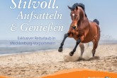 Besondere Reitangebote finden Gäste in der neuen Broschüre „Stilvoll. Aufsatteln und Genießen“. Foto: TMV/Klähn