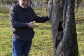 Foto BUND Lemgo - Hans-Georg Kosel bewundert den alten Apfelbaum eines Westfälischen Gülderlings