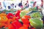 Der Markt startet am 2. April zunächst als wöchentliches Nahversorgungsangebot mit regionalen Händlern und Erzeugern. Foto: Bielefeld Marketing/Sarah Jonek