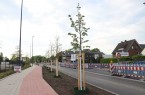 Klimaunempfindliche Sorten an der Verler Straße gepflanzt.Foto:Stadt Gütersloh