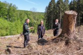 Verbandsvorsteher Jörg Düning-Gast (M.), Hans-Ulrich Braun, Leiter der Forstabteilung (r.) und Förs-ter Jens Tegtemeier (l.) im Gespräch auf einer Schadfläche im Revier Nassesand, wo u. a. Lärchen gepflanzt wurden. Foto: Landesverband Lippe
