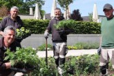 Sie bringen den Sommer in die Gartenschau: Die Gärtner Ralf Biermeier (vorne), Marglen Alla, Alban Alla und Mark Hunstig (hinten von links) haben in den vergangenen Tagen rund 30.000 Sommerblumen in der Gartenschau Bad Lippspringe gepflanzt. Die Besucher dürfen sich auf einen imposanten Blütenteppich in Gelb-, Orange-, Rot- und Weißtönen freuen.Foto: Landesgartenschau Bad Lippspringe