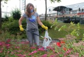 Anika Neumann von „oikos“ sammelt Kleinmüll mit Maske, Handschuhen und Zange in einem Beet am Kasseler Tor in Paderborn.Foto: © ASP