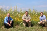 Eine Blühpracht, die nicht nur schön ist, sondern auch der Umwelt gut tunt - Landrat Manfred Müller, Landwirt Richard Schulte und Ansgar Aundrup (Deutscher Jagdverband Berlin). Foto: Ulrike Sander