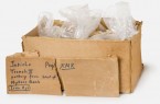 Kiste mit eisenzeitlichen Scherben der britischen Archäologin Kathleen Kenyon.Foto: Archäologisches Museum der Universität Münster/Nieswandt