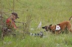 DSC09313 (1)