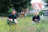 Reduzierter Mähaufwand lässt Blühwiesen entstehen: (v.l.) Ingo Dieding, Gärtner beim städtischen Fachbereich Grünflächen, und Dirk Buddenberg, Leiter Fachbereich Grünflächen, überprüfen die Entwicklung der Wiesenflächen. Foto: Stadt Gütersloh