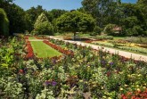 Stadtpark Gütersloh mit Sommerblumenbeeten