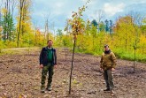 Baumpflanzaktion im Bürgerwald Brakel am 24. Oktober 2020.Foto:Stadt Brakel