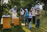 Mitarbeiter und Familienangehörige der BKK GILDMEISTER SEIDENSTICKER während einer Imkerführung auf unserem Betriebsgelände in der Winterstraße.Foto: BKK GILDMEISTER SEIDENSTICKER