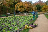 Natürliches Pflanzbild in Pastellfarben: Mitarbeiter des Fachbereichs Grünflächen machen die Beete im Botanischen Garten winterfest und pflanzen viele tausend Hingucker für den Frühling.Foto: Stadt Gütersloh