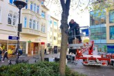 Teamarbeit- zwei Monteure der Firma EBERLING Licht aus Bremen wickeln vom Hubwagen aus behutsam die mitwachsenden Lichterketten um die Bäume am Marienplatz, die ab diesem Jahr ein weiterer Blickfang in der Weihnachtszeit in der Paderborner Innenstadt sein werden.Foto: © Stadt Paderborn