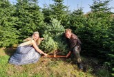 Symbolischer Start der Weihnachtsbaumsaison mit Weihnachtsbaumkönigin Laura Stegemann und Eberhard Hennecke, Foto: Gartenbau NRW