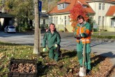 Vorbereitungen für den Frühling: (v.l.) Frederik Lewike und Beate Durek vom städtischen Fachbereich Grünflächen haben mit der Pflanzung von 10.000 Blumenzwiebeln im Gütersloher Verkehrsgrün begonnen.