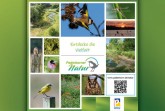 Unter www.paderborn.de/natur finden Sie ab sofort spannende und umfangreiche Informationen rund um das Thema Biodiversität und biologische Vielfalt im Stadtgebiet.Foto: © Stadt Paderborn