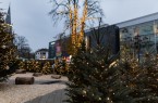 Weihnachtslandschaft in Gütersloh, Foto: Lena Descher