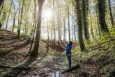 Der Wald steht ab Ende Juni im Mittelpunkt der neuen Sonderausstellung im LWL-Museum für Naturkunde.
Foto: LWL/Steinweg
