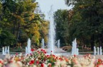 Heiraten in Bad Lippspringe, Foto: Besim Mazhiqi