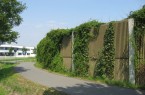 Derzeit überprüft die Stadt die Lärmschutzwände im Stadtgebiet, wie hier am Wohnpark Wilhelmshöhe und muss daher die Begrünung an den Wänden zurückschneiden. Foto: Stadt Paderborn