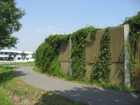 Derzeit überprüft die Stadt die Lärmschutzwände im Stadtgebiet, wie hier am Wohnpark Wilhelmshöhe und muss daher die Begrünung an den Wänden zurückschneiden. Foto: Stadt Paderborn