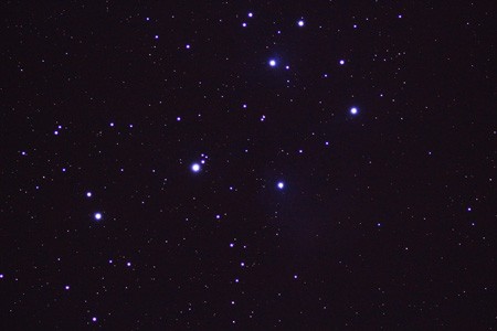 IMG_4950_Pleaden_-(4)_2