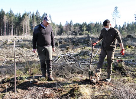 02_euwatec_Pflanzungen