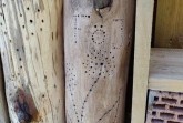 Insektenschutz kreativ ausgelebt: FÖJler gestalten Nisthilfe für Insekten aus Totholz.Foto:Kreis Herford